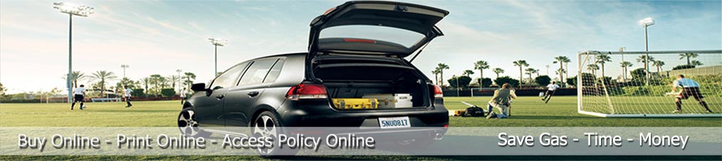 Spartan Insurance Company About Us